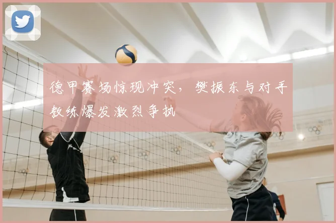 德甲赛场惊现冲突，樊振东与对手教练爆发激烈争执