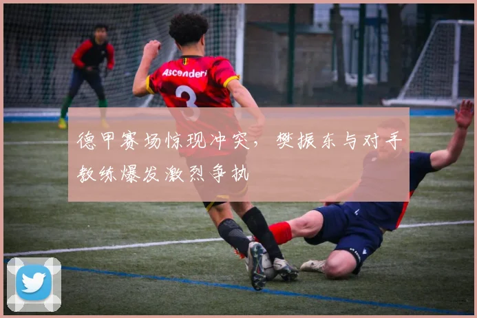 德甲赛场惊现冲突，樊振东与对手教练爆发激烈争执